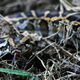 Illustration for article titled There Are No Snakes in the Hospital